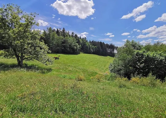 Dome En Pleine Nature 豪华帐篷 *