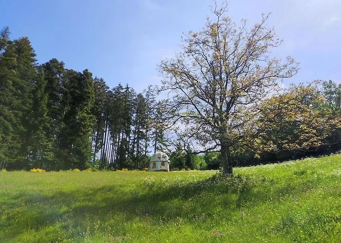 Dome En Pleine Nature